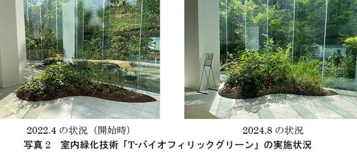 写真2 室内緑化技術「T-バイオフィリックグリーン」の実施状況