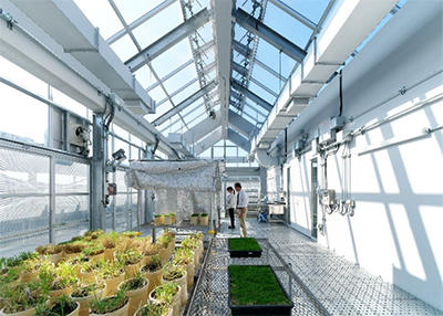 緑化実験室（温室）