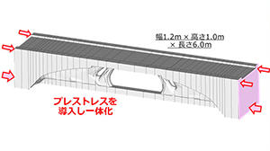 図1 トポロジー最適化手法により 決定した“橋”の形状