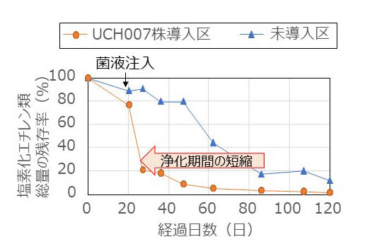 図2 実証試験における塩素化エチレン類総量の残存率推移