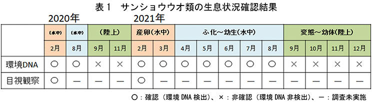 表1　サンショウウオ類の生息状況確認結果