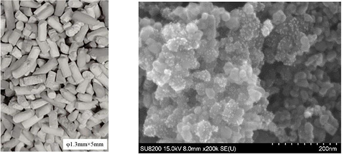写真1　本光触媒（左：全体像、右：20万倍拡大画像　白い点が白金）