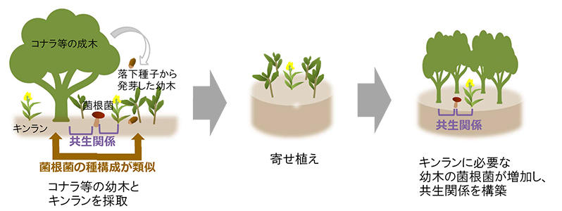 図2　本手法の概要