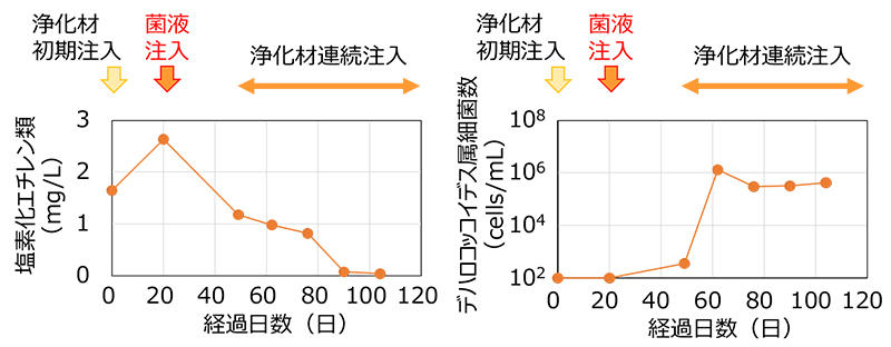 図3　実証試験における地下水中の塩素化エチレン類濃度および浄化菌数の推移