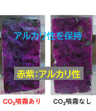 図2　CO2噴霧有無によるコンクリート内部状況（アルカリ性保持）