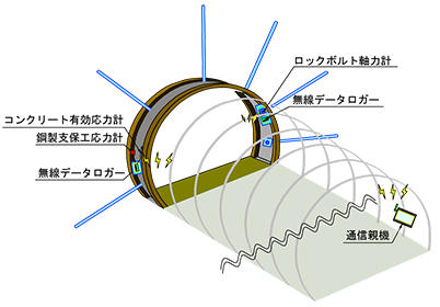 図1 T-RIPPA BKの構成