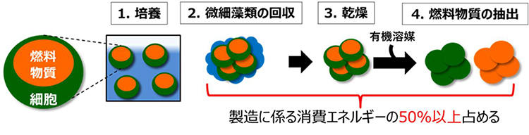 図1 従来のバイオ燃料製造フロー
