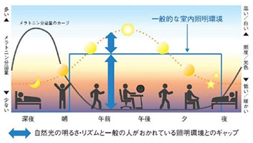 図2サーカディアンリズムの概念