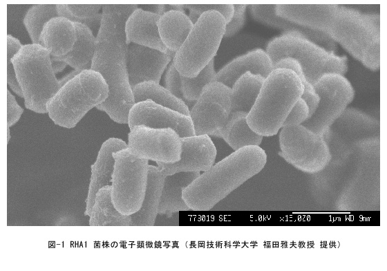 塩素化エチレン汚染地下水を短期間で浄化する技術を開発