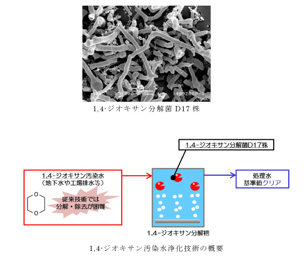 ジオキサン汚染水浄化技術