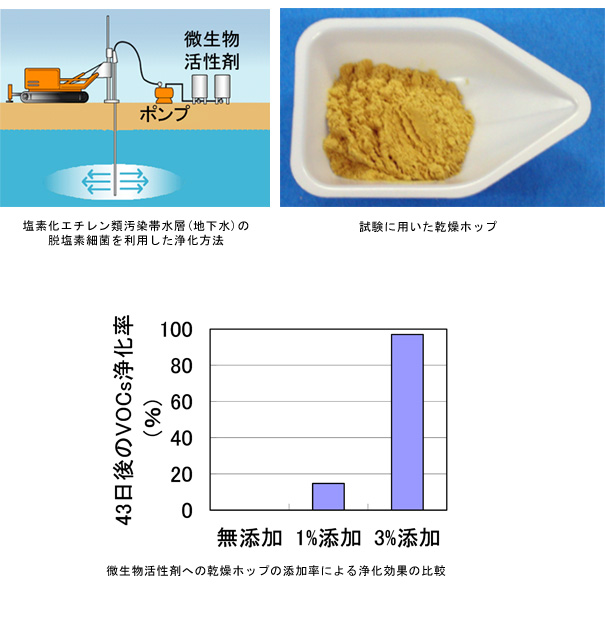 「ホップ成分」を用いた汚染地下水浄化技術を開発