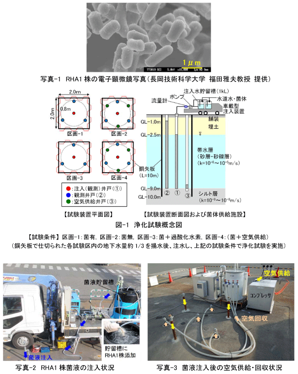 好気性細菌RHA1の導入による汚染地下水浄化技術を実汚染サイトで実証