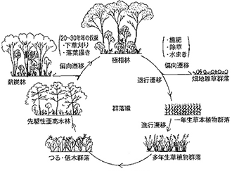 生物多様性向上に向けた緑地計画ツール「森コンシェルジュ」を開発