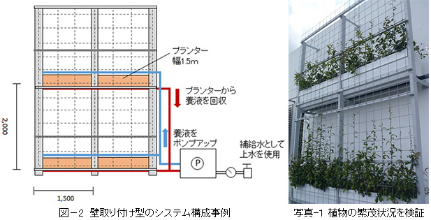 循環式養液栽培方式を用いた壁取り付け型緑化システムを開発
