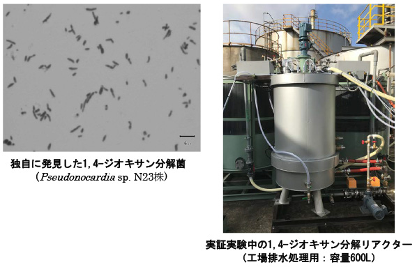 独自発見した分解菌による1,4-ジオキサンの生物処理プロセスを構築