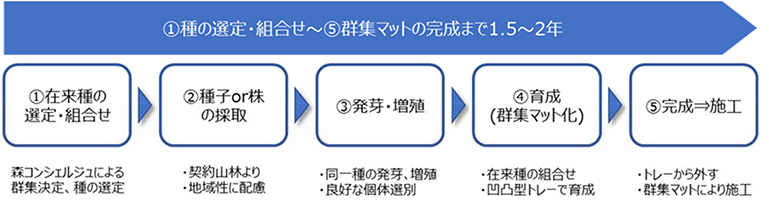 群集マットの育成フロー