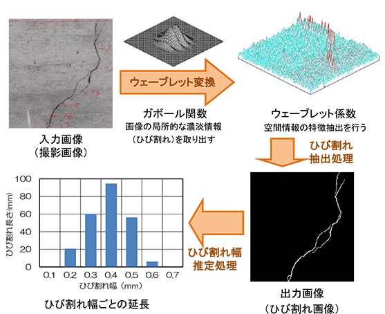 ひび割れ画像解析の実施フロー