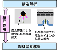 前編】Week2ーlesson4「コンクリート部材の塩害腐食の事例
