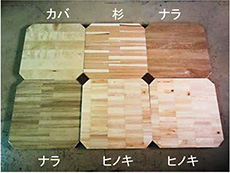 木の種類サンプル例