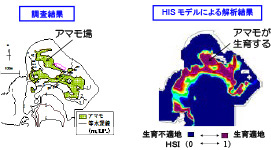 アマモのHSIモデル