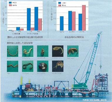 宍道湖試験工事