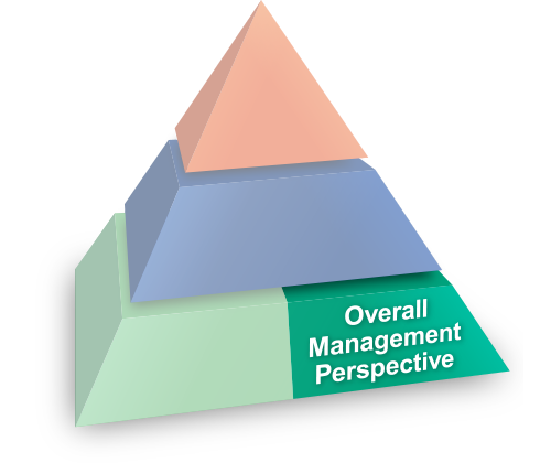 Overall Management Perspective
